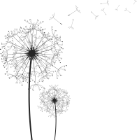 img logo.png