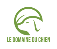 Original Logo.png